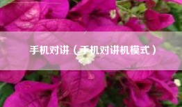 手机对讲（手机对讲机模式）