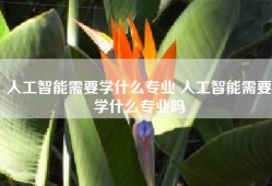 人工智能需要学什么专业 人工智能需要学什么专业吗