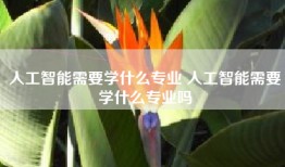 人工智能需要学什么专业 人工智能需要学什么专业吗
