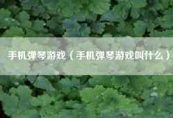 手机弹琴游戏（手机弹琴游戏叫什么）