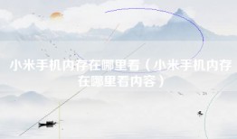 小米手机内存在哪里看（小米手机内存在哪里看内容）