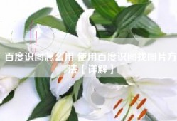 百度识图怎么用 使用百度识图找图片方法【详解】