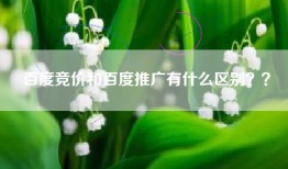 百度竞价和百度推广有什么区别？？