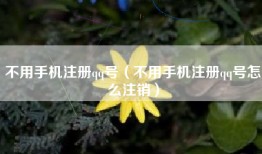 不用手机注册qq号（不用手机注册qq号怎么注销）