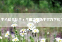 手机精灵助手（手机精灵助手官方下载）