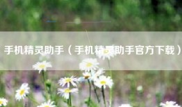 手机精灵助手（手机精灵助手官方下载）