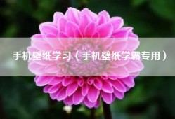 手机壁纸学习（手机壁纸学霸专用）