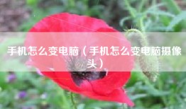 手机怎么变电脑（手机怎么变电脑摄像头）