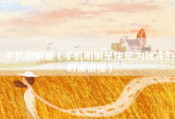 手机明明是（手机明明是快充,为啥冲的时候很慢）