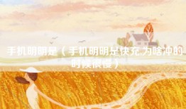 手机明明是（手机明明是快充,为啥冲的时候很慢）