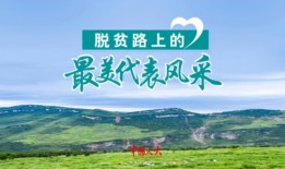 郭凤莲：让更多乡村“敢叫日月换新天”