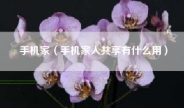 手机家（手机家人共享有什么用）