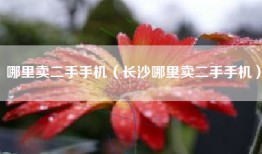 哪里卖二手手机（长沙哪里卖二手手机）
