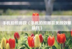 手机拍照哪款（手机拍照哪款美颜效果最好）