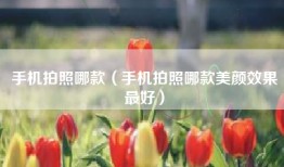 手机拍照哪款（手机拍照哪款美颜效果最好）