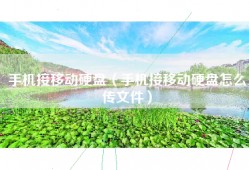 手机接移动硬盘（手机接移动硬盘怎么传文件）