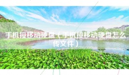 手机接移动硬盘（手机接移动硬盘怎么传文件）