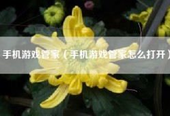 手机游戏管家（手机游戏管家怎么打开）