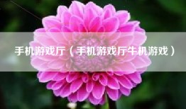 手机游戏厅（手机游戏厅牛机游戏）