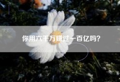 你用六千万赚过一百亿吗？