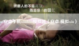 安卓手机windows模拟器（安卓 模拟win）
