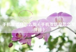 手机发信息怎么发（手机发信息怎么发拼音）
