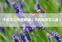 手机怎么快速截图（手机截图怎么截）
