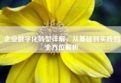 企业数字化转型详解，从基础到实践的全方位解析