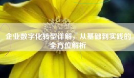 企业数字化转型详解，从基础到实践的全方位解析