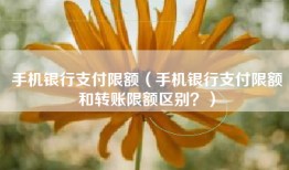 手机银行支付限额（手机银行支付限额和转账限额区别？）