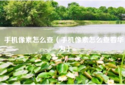 手机像素怎么查（手机像素怎么查看华为）