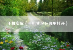 手机实况（手机实况在哪里打开）