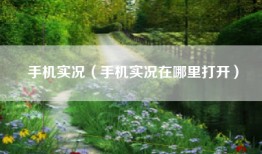 手机实况（手机实况在哪里打开）