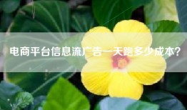电商平台信息流广告一天跑多少成本？
