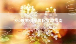 SEO搜索引擎优化实战指南