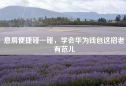 息屏便捷碰一碰，学会华为钱包这招老有范儿