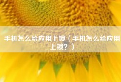 手机怎么给应用上锁（手机怎么给应用上锁？）