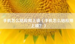手机怎么给应用上锁（手机怎么给应用上锁？）