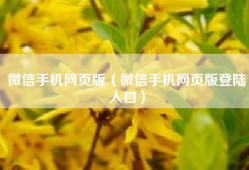 微信手机网页版（微信手机网页版登陆入口）