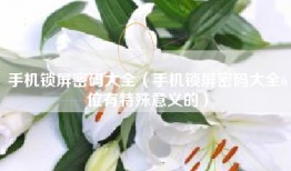 手机锁屏密码大全（手机锁屏密码大全6位有特殊意义的）