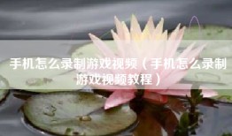 手机怎么录制游戏视频（手机怎么录制游戏视频教程）