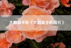 大翻盖手机（大翻盖手机图片）