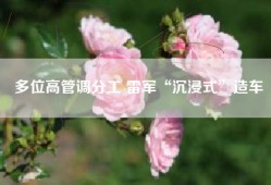 多位高管调分工 雷军“沉浸式”造车