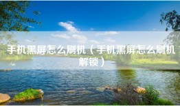 手机黑屏怎么刷机（手机黑屏怎么刷机解锁）
