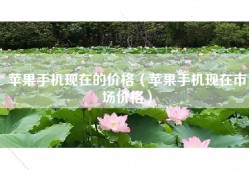 苹果手机现在的价格（苹果手机现在市场价格）