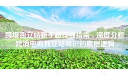 跨境独立站新手超详细指南 - 深度分析跨境电商独立站知识的底层逻辑