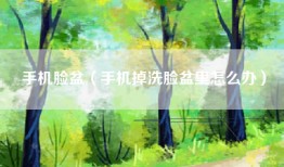 手机脸盆（手机掉洗脸盆里怎么办）