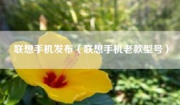 联想手机发布（联想手机老款型号）
