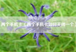 两个手机卡（两个手机卡如何关闭一个）