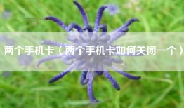 两个手机卡（两个手机卡如何关闭一个）
